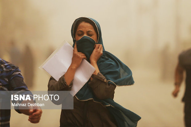 منشأ بوی نامطبوع در بهار مشخص شد