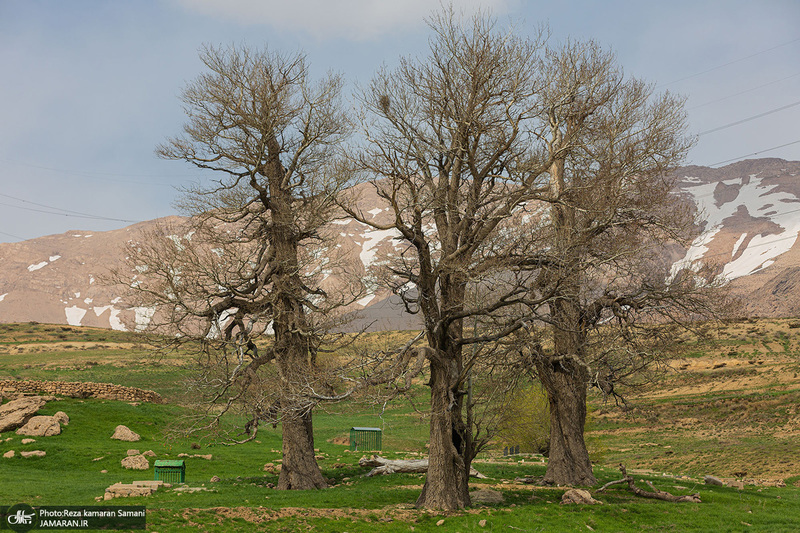 گورستان تاریخی گزستان