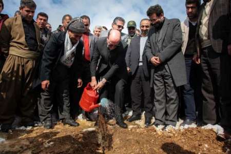 آیین های هفته منابع طبیعی و روز درختکاری در کردستان آغاز شد