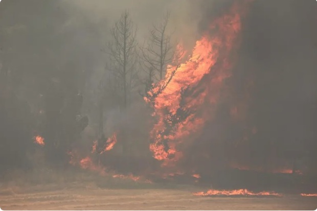 وقوع آتش سوزی مهیب در سرزمینهای اشغالی؛ حریق در چند منطقه از کنترل خارج شد