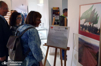 دو مسیر زیارتی برای صلح؛ از کربلا تا سانتیاگو + تصاویر