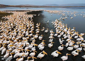 منتخب تصاویر امروز جهان - 20 فروردین 1404