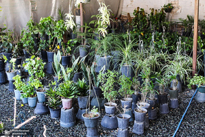 منتخب تصاویر امروز جهان- 26 خرداد 1400