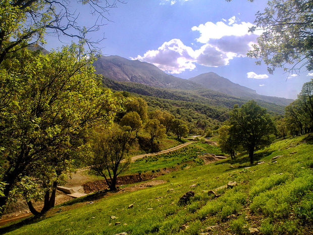 پوشش بیمه ای 42 طرح مرتعداری در لرستان