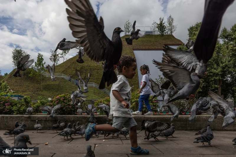 منتخب تصاویر امروز جهان- 8 مرداد 1400