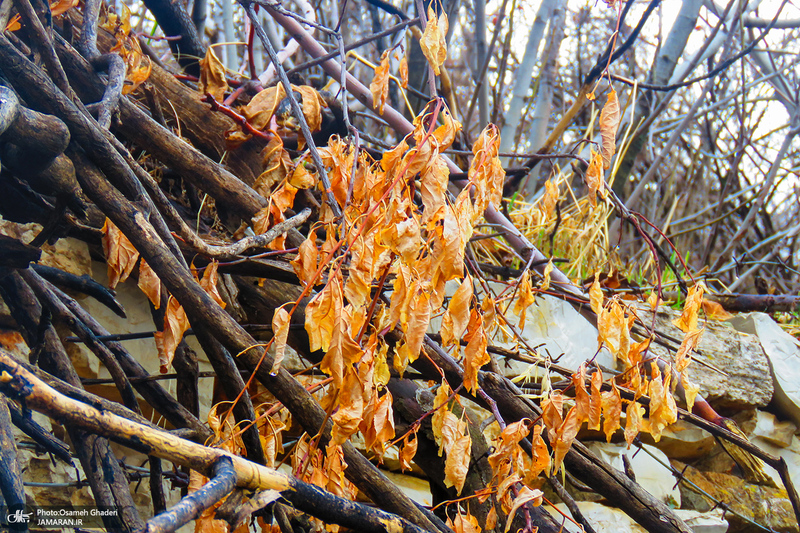 روستای تاریخی خانقاه پاوه؛ یادگار دوره ساسانی