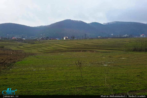 روستای امام زمین تنکابن 