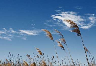 برف و باران برخی نقاط استان اصفهان را فرا می گیرد