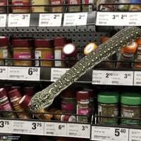 منتخب تصاویر امروز جهان- 28 مرداد 1400