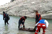 کشف جسد غرق شده رئیس سابق هیات کوهنوردی کوهدشت