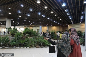 نمایشگاه گل و گیاه (87)