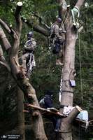 منتخب تصاویر امروز جهان- 12 مهر