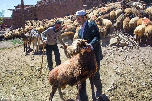 28 طرح عشایری خراسان جنوبی افتتاح شد