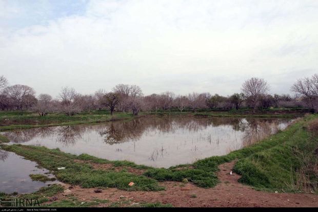 مسایل باغستان سنتی قزوین باید مورد بازنگری قرار بگیرد