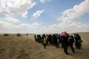 کابینه «اقلیم کردستان » در نامه ای به سازمان ملل برای برگزاری «رفراندوم» اعلام آمادگی کرد