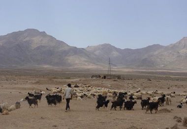 پنج میلیارد ریال در مناطق عشایری ابرکوه هزینه شد