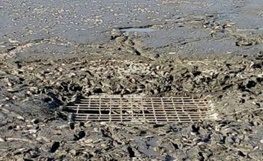 اتلاف آبزیان در سد خاکی دره حیدر الیگودرز