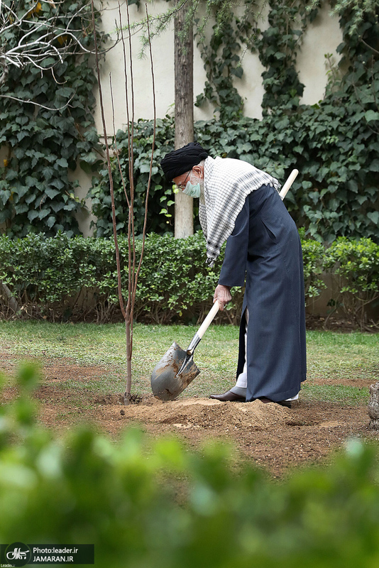 کاشت دو نهال میوه در روز درختکاری توسط رهبر معظم انقلاب