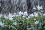بارش ۶۴۴ میلی‌متر باران در مرکز لرستان طی سال زراعی ۹۹-۹۸
