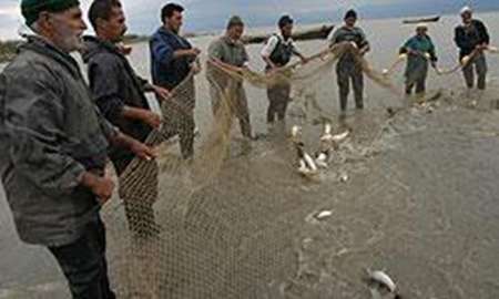 صید ماهیان استخوانی در سواحل مازندرانی خزر 10 روز تمدید شد