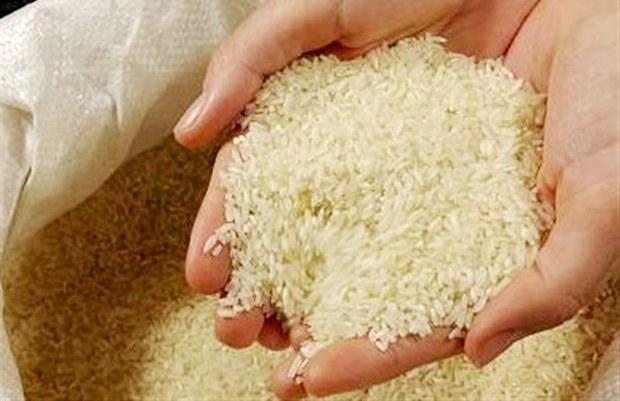 820 تن برنج و مرغ در سیستان و بلوچستان توزیع شد