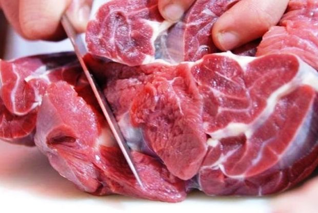 انتقال گوشت شکار غیرمجاز به خارج کشور ناکام ماند