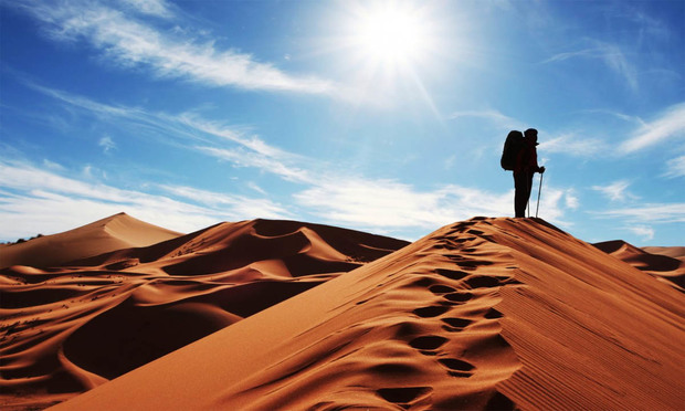 کویر مصر؛ جزیره‌ای کوچک در میان شن‌های روان+ تصاویر