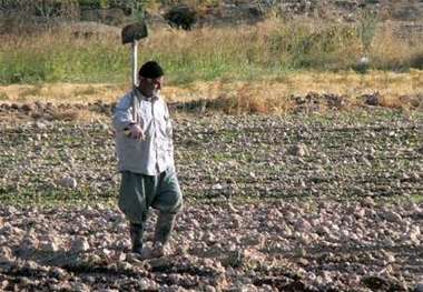 اشتغال روستایی مازندران بیش از 3 هزار میلیاردریال بودجه دارد