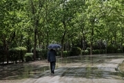 بارش ها در استان اردبیل 280درصد افزایش یافت