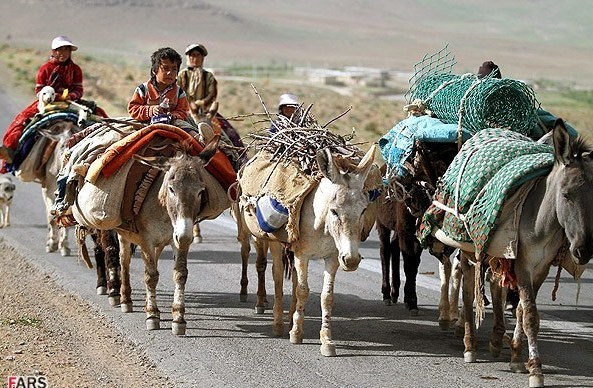 کوچ بهاره عشایر خداآفرین به ییلاقات آغاز شد