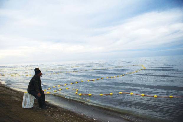 صید آبزیان دریای خزر در گلستان 18 درصد کاهش داشت