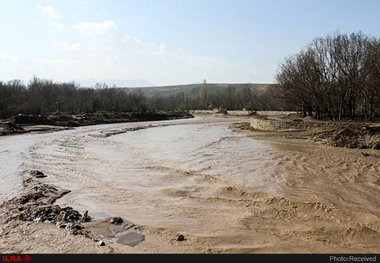 خسارت ۳۶۳ میلیارد ریالی سیل و تگرگ به اراضی کشاورزی استان بوشهر