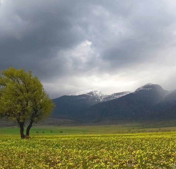 هواشناسی افزایش دما و وزش شدید باد برای سمنان پیش بینی کرد