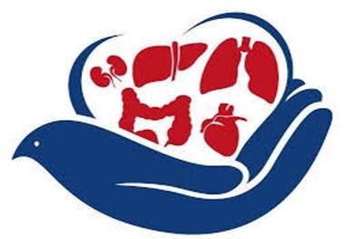 اهدای عضو در تبریز به 4 نفر جان دوباره بخشید