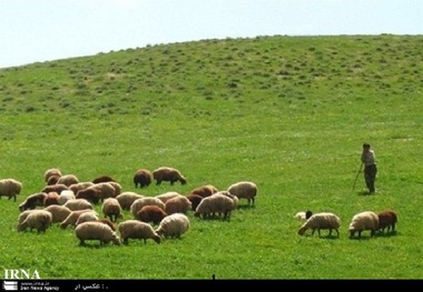 طرح ممیزی مراتع کشور در وسعت 76 میلیون هکتار اجرا شد