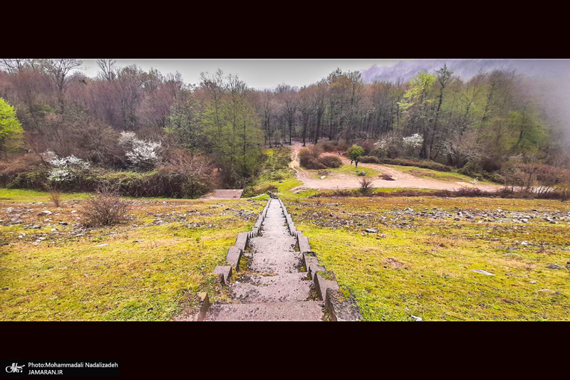 دریاچه آویدر نوشهر