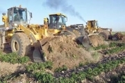 4 هزار متر مربع از اراضی ملی بندرکیاشهر رفع تصرف شد