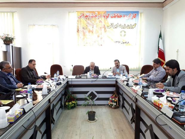 فرماندار دزفول :ایجاد مرکز مطالعات گوزن زرد ایرانی در خوزستان ضروری است