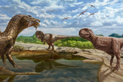 کشف یک فسیل دایناسور ۹۸ میلیون ساله در مصر
