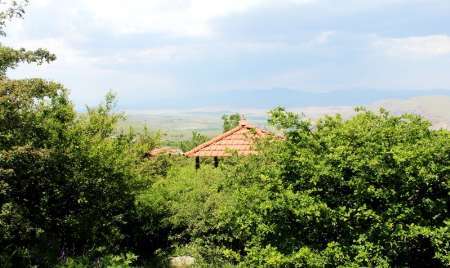 توسعه پارک جنگلی فندقلوی اهر با مدیریت واحد میسر است