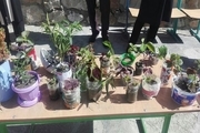 نمایشگاه گل و گیاه با استفاده از لوازم بازیافتی در قروه برپا شد