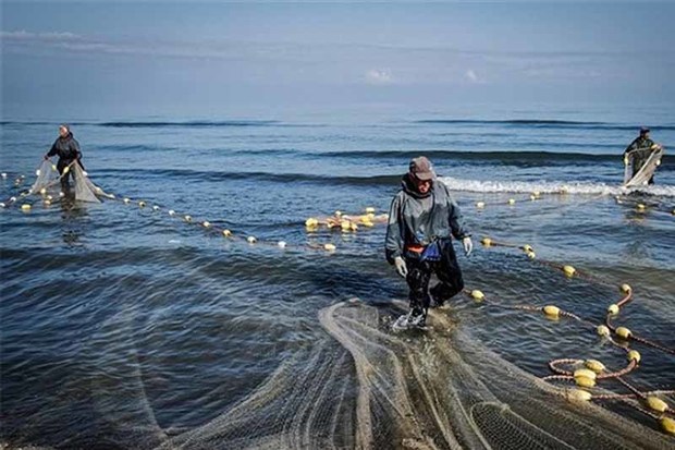 بیش از 3 هزار و 600 تن ماهی در سد ارس صید شد