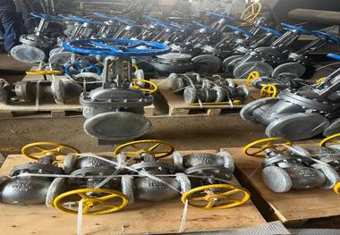 بازسازی و بومی‌سازی ولوهای فرسوده در پتروشیمی اروند