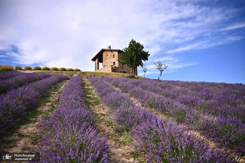 منتخب تصاویر امروز جهان- 9 تیر 1400