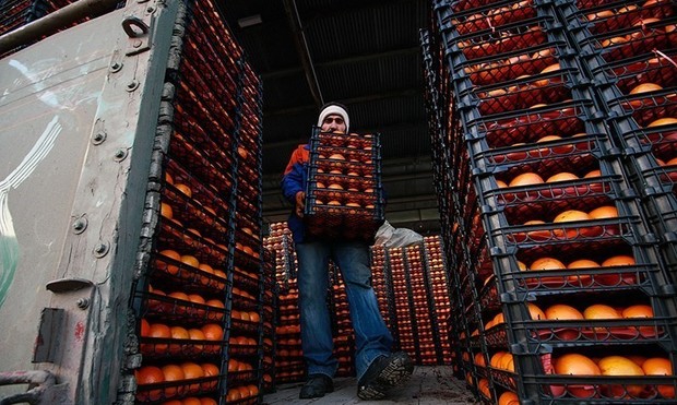 پاتک تیم‌های مبارزه با قاچاق کالا به بازارهای گل و میوه
