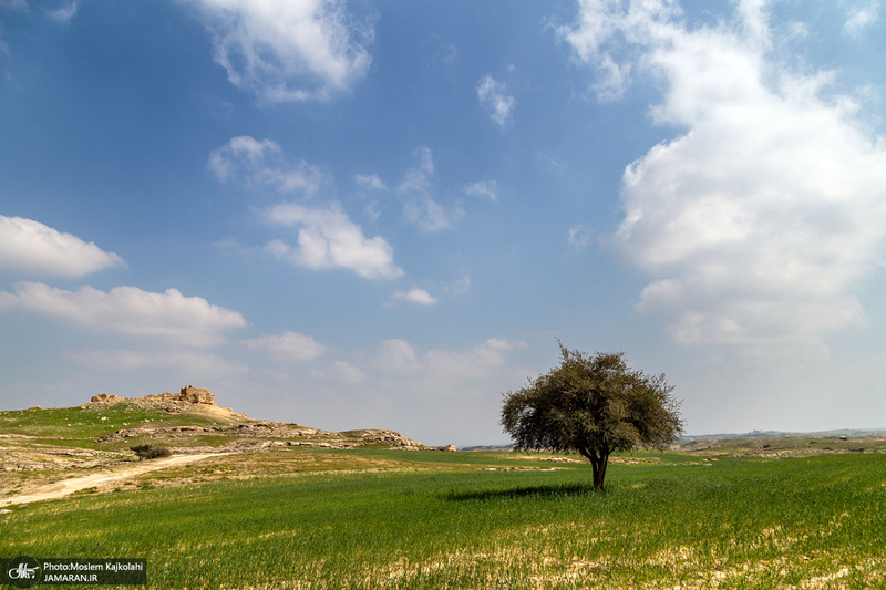 طبیعت زیبای صحرای ماهور