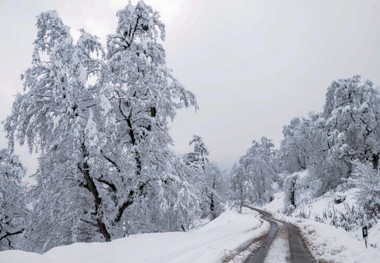 مازندران برای مقابله با بحران برف و سرما آماده باش شد