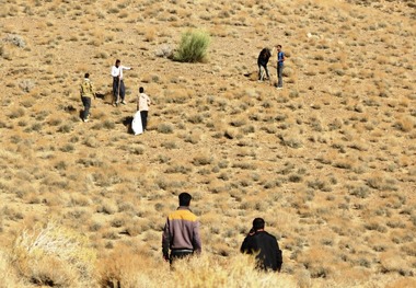 طرح ملی جنگلانه در عرصه های طبیعی مهریز آغاز شد