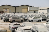 خاک خوردن خودروهای میلیاردی در بندرعباس (8)