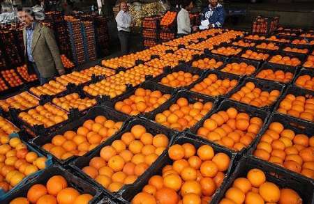 یک هزار و 325 تن سیب و پرتغال با نرخ دولتی در استان قزوین توزیع شد